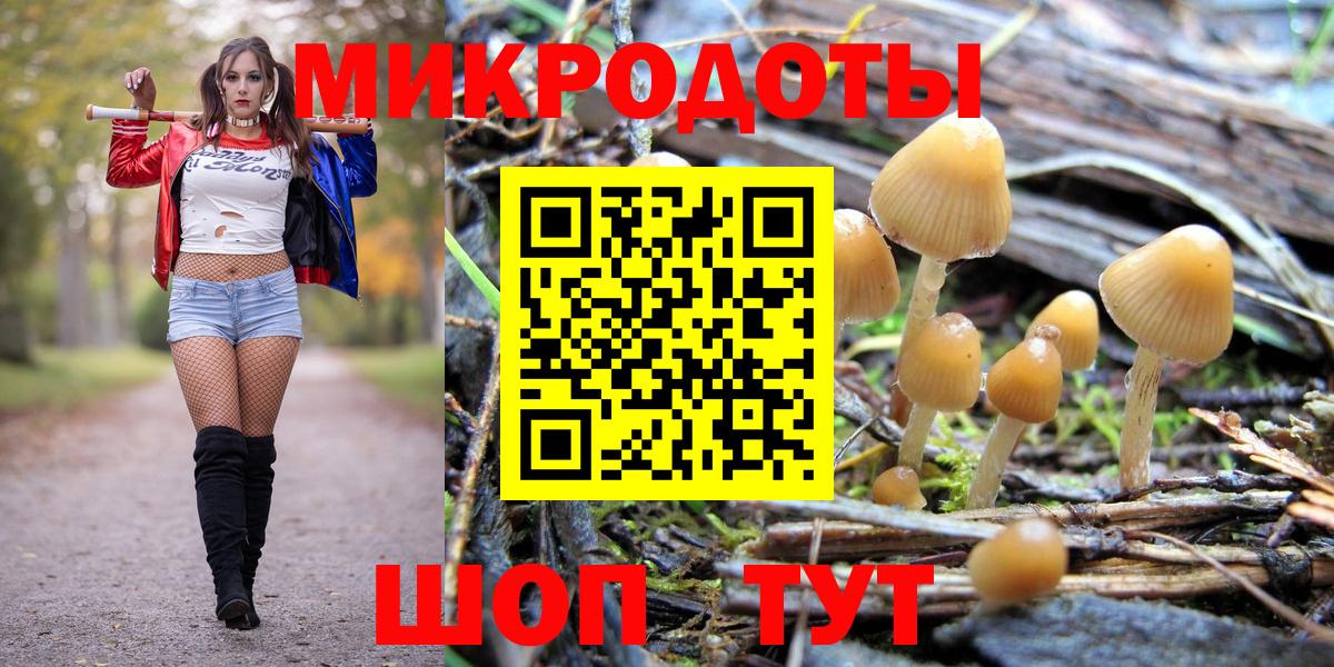 Галлюциногенные грибы Cubensis  Вход с VPN  Королёв 